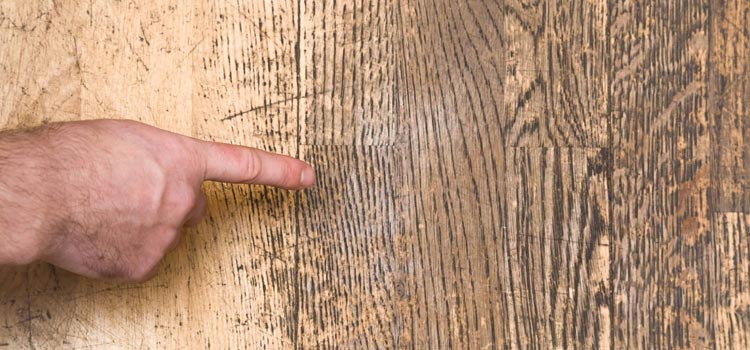 Wood Door Scratch Repair in Los Gatos